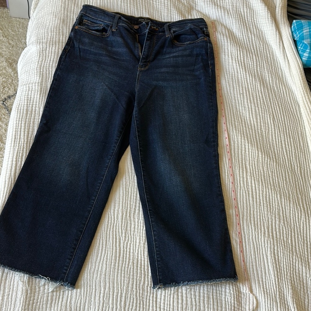 Judy Blue Ankle Cropped Jeans in Blue